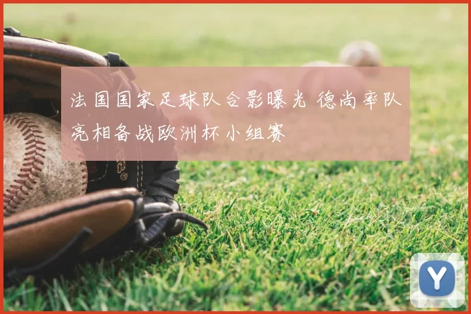 法国国家足球队合影曝光 德尚率队亮相备战欧洲杯小组赛