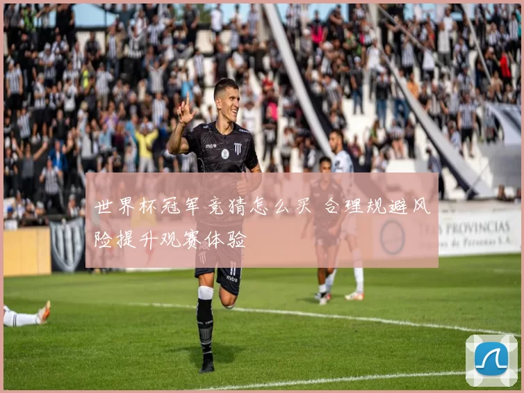 世界杯冠军竞猜怎么买 合理规避风险提升观赛体验