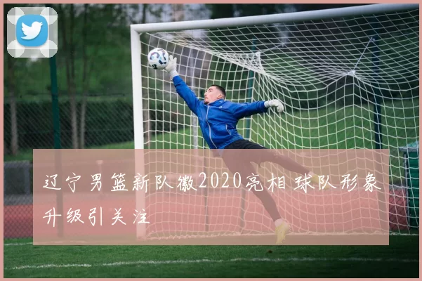 辽宁男篮新队徽2020亮相 球队形象升级引关注