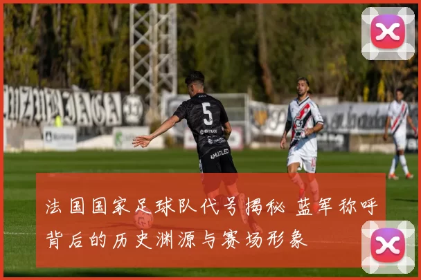 法国国家足球队代号揭秘 蓝军称呼背后的历史渊源与赛场形象