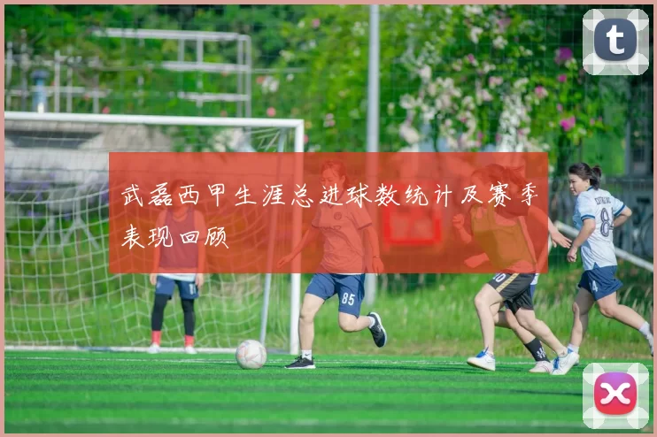 武磊西甲生涯总进球数统计及赛季表现回顾